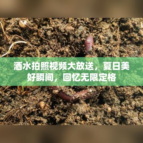 洒水拍照视频大放送，夏日美好瞬间，回忆无限定格