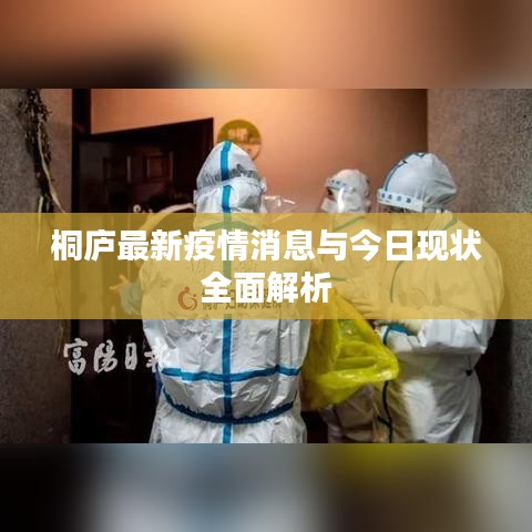 桐庐最新疫情消息与今日现状全面解析