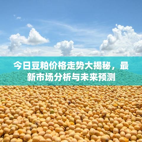 今日豆粕价格走势大揭秘，最新市场分析与未来预测