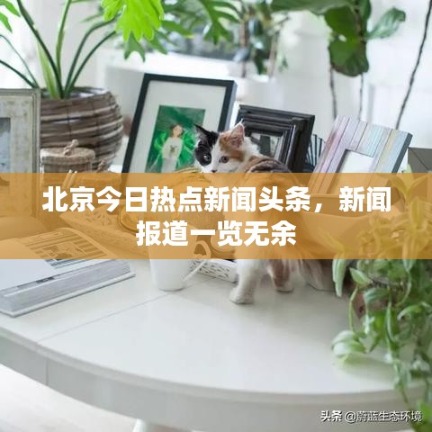 北京今日热点新闻头条，新闻报道一览无余