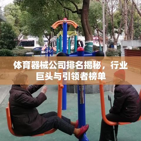 体育器械公司排名揭秘，行业巨头与引领者榜单