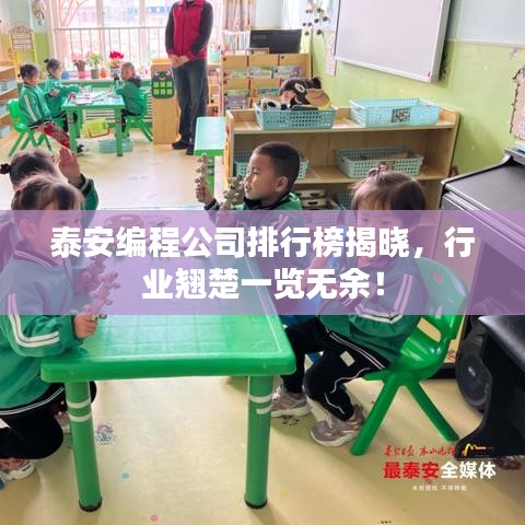 泰安编程公司排行榜揭晓，行业翘楚一览无余！