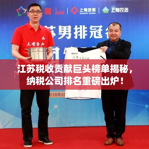 江苏税收贡献巨头榜单揭秘，纳税公司排名重磅出炉！