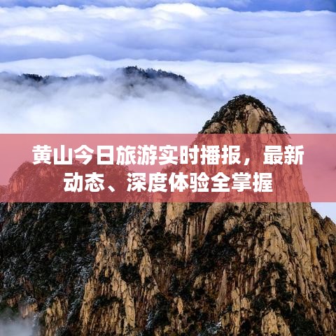 黄山今日旅游实时播报，最新动态、深度体验全掌握