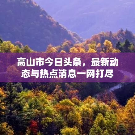 高山市今日头条，最新动态与热点消息一网打尽