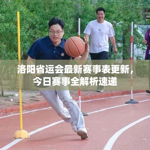洛阳省运会最新赛事表更新，今日赛事全解析速递
