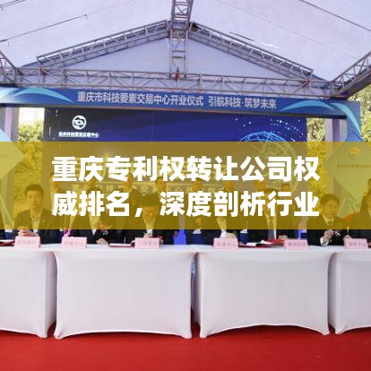 重庆专利权转让公司权威排名，深度剖析行业佼佼者