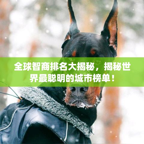 全球智商排名大揭秘，揭秘世界最聪明的城市榜单！