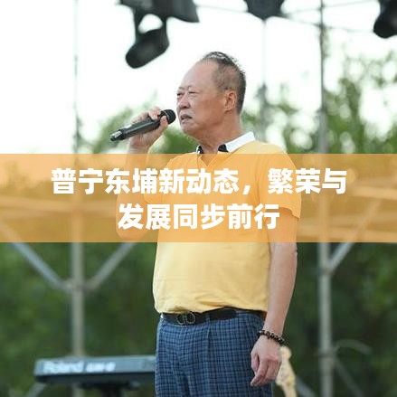 普宁东埔新动态，繁荣与发展同步前行