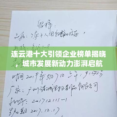 连云港十大引领企业榜单揭晓，城市发展新动力澎湃启航