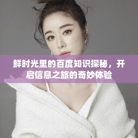 鲜时光里的百度知识探秘，开启信息之旅的奇妙体验