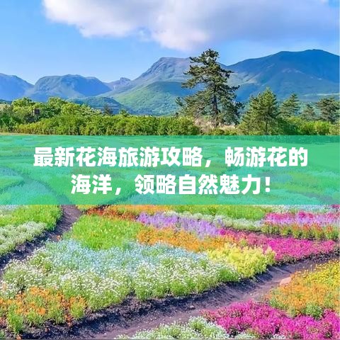 最新花海旅游攻略，畅游花的海洋，领略自然魅力！