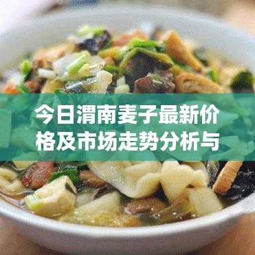 今日渭南麦子最新价格及市场走势分析与预测，深度解读市场趋势