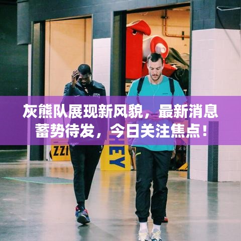 灰熊队展现新风貌，最新消息蓄势待发，今日关注焦点！