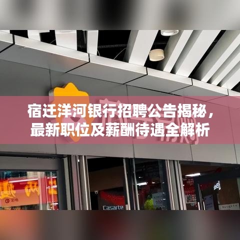 宿迁洋河银行招聘公告揭秘，最新职位及薪酬待遇全解析