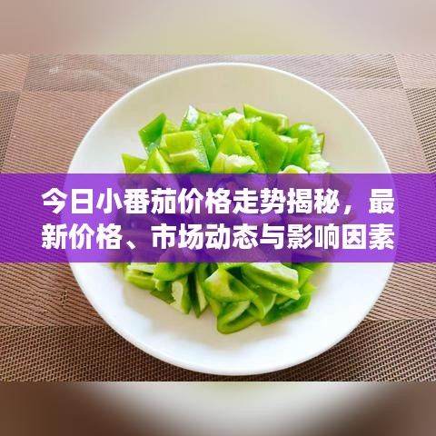 今日小番茄价格走势揭秘，最新价格、市场动态与影响因素深度解析