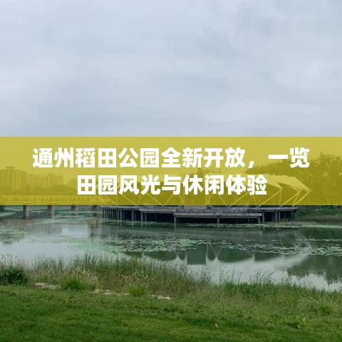 通州稻田公园全新开放，一览田园风光与休闲体验