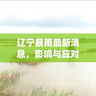 辽宁暴雨最新消息，影响与应对策略
