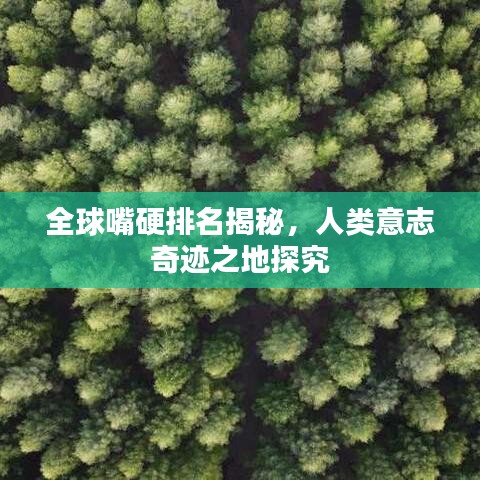 全球嘴硬排名揭秘，人类意志奇迹之地探究