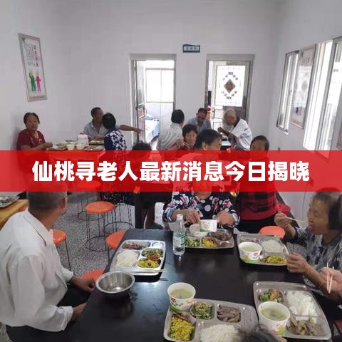 仙桃寻老人最新消息今日揭晓