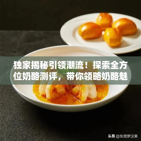 独家揭秘引领潮流！探索全方位奶酪测评，带你领略奶酪魅力！百度推荐
