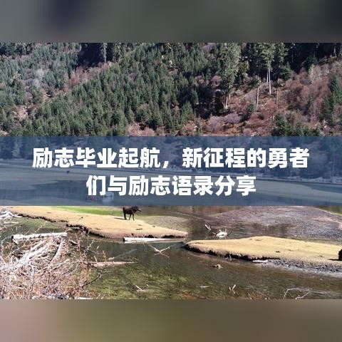 励志毕业起航，新征程的勇者们与励志语录分享