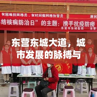 东营东城大道，城市发展的脉搏与未来展望重磅新闻头条