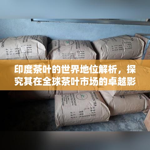 印度茶叶的世界地位解析，探究其在全球茶叶市场的卓越影响力