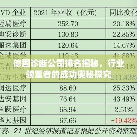德国诊断公司排名揭秘，行业领军者的成功奥秘探究