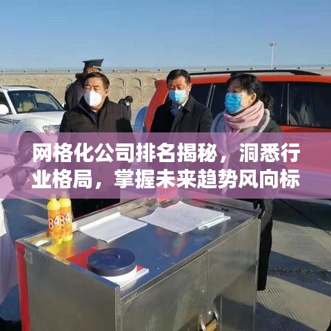 网格化公司排名揭秘，洞悉行业格局，掌握未来趋势风向标