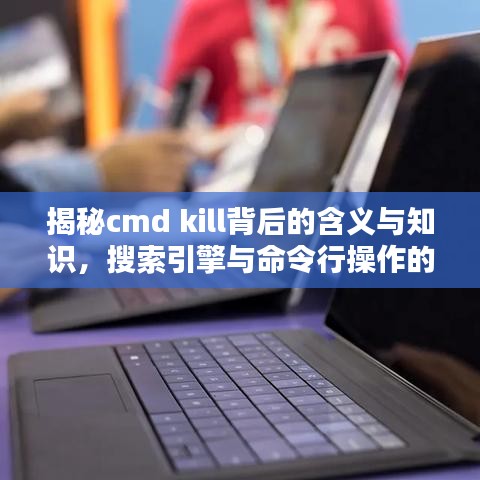 揭秘cmd kill背后的含义与知识，搜索引擎与命令行操作的奇妙结合