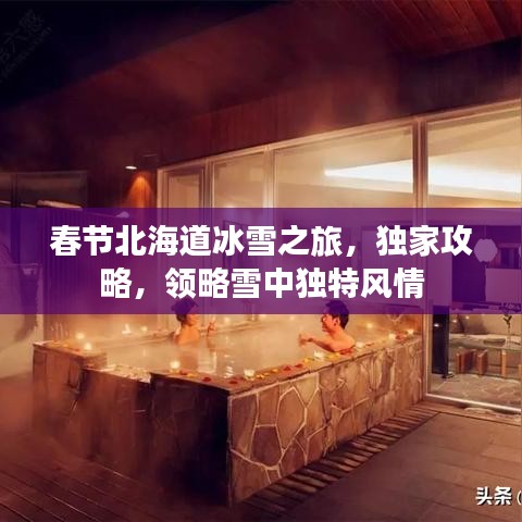 春节北海道冰雪之旅，独家攻略，领略雪中独特风情