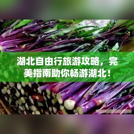 湖北自由行旅游攻略，完美指南助你畅游湖北！