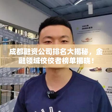 成都融资公司排名大揭秘，金融领域佼佼者榜单揭晓！