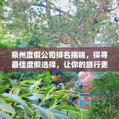 泉州度假公司排名揭晓，探寻最佳度假选择，让你的旅行更惬意！