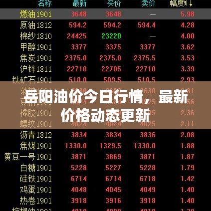 岳阳油价今日行情，最新价格动态更新