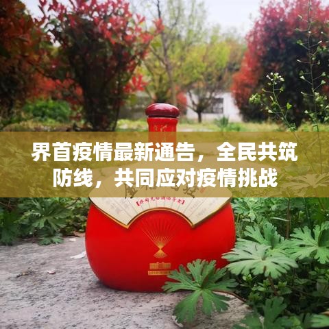 界首疫情最新通告，全民共筑防线，共同应对疫情挑战