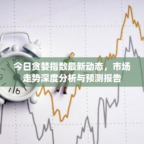 今日贪婪指数最新动态，市场走势深度分析与预测报告