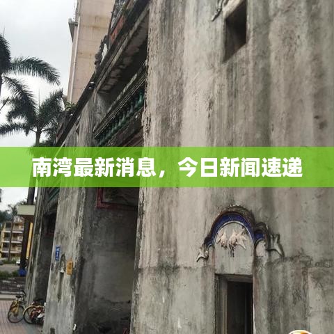 南湾最新消息，今日新闻速递