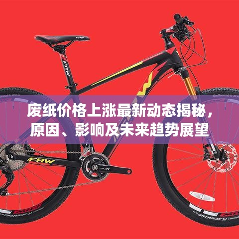 废纸价格上涨最新动态揭秘，原因、影响及未来趋势展望