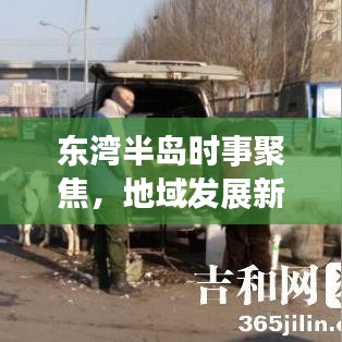 东湾半岛时事聚焦，地域发展新动态，新闻头条全解读