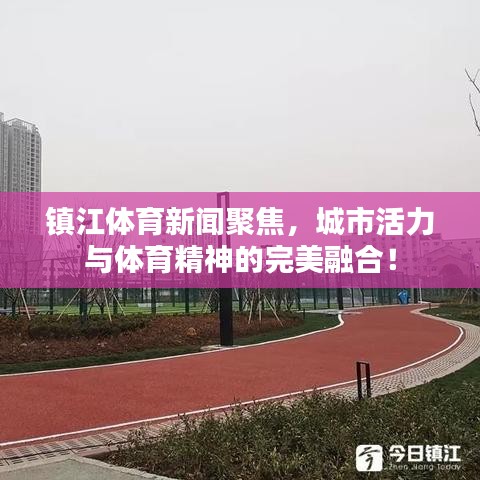 镇江体育新闻聚焦，城市活力与体育精神的完美融合！