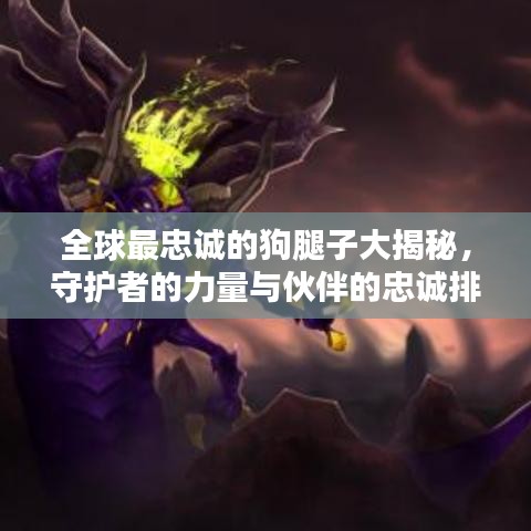 全球最忠诚的狗腿子大揭秘，守护者的力量与伙伴的忠诚排名