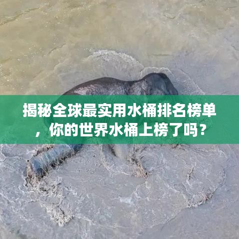 揭秘全球最实用水桶排名榜单，你的世界水桶上榜了吗？