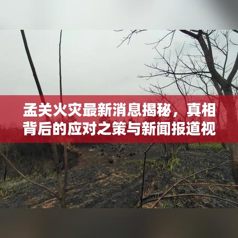 孟关火灾最新消息揭秘，真相背后的应对之策与新闻报道视频速递