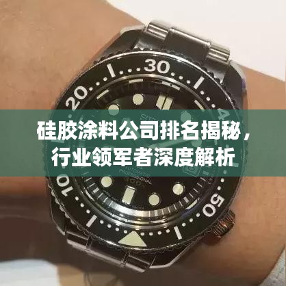 硅胶涂料公司排名揭秘，行业领军者深度解析