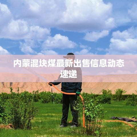 内蒙混块煤最新出售信息动态速递