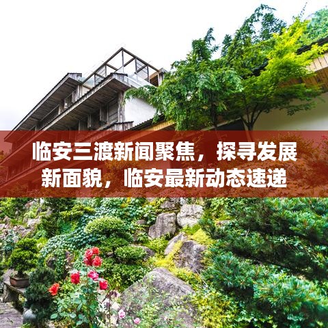 临安三渡新闻聚焦，探寻发展新面貌，临安最新动态速递