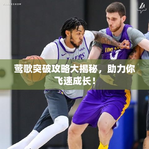 莺歌突破攻略大揭秘，助力你飞速成长！
