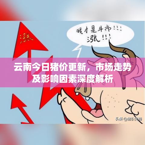 云南今日猪价更新，市场走势及影响因素深度解析